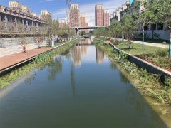 以“五心”工程构建党建品牌矩阵